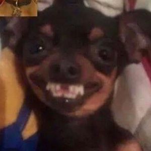 Meet your Posher, Zahra